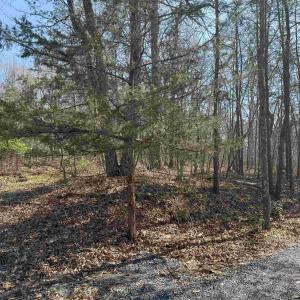 Photo #14 of TBD SHOTGUN SPRING RD, NEW MARKET, VA 5.0 acres