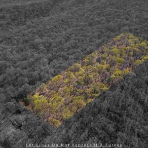 Photo #7 of TBD SHOTGUN SPRING RD, NEW MARKET, VA 5.0 acres