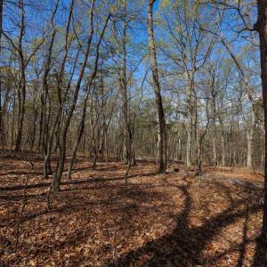 Photo #6 of TBD SHOTGUN SPRING RD, NEW MARKET, VA 5.0 acres