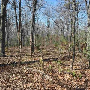 Photo #27 of TBD SHOTGUN SPRING RD, NEW MARKET, VA 5.0 acres