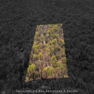 Photo #8 of TBD SHOTGUN SPRING RD, NEW MARKET, VA 5.0 acres