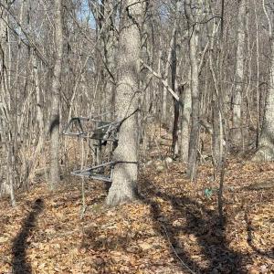 Photo #23 of TBD SHOTGUN SPRING RD, NEW MARKET, VA 5.0 acres