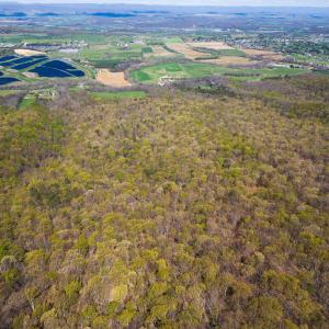 Photo #13 of TBD SHOTGUN SPRING RD, NEW MARKET, VA 5.0 acres