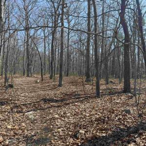 Photo #18 of TBD SHOTGUN SPRING RD, NEW MARKET, VA 5.0 acres
