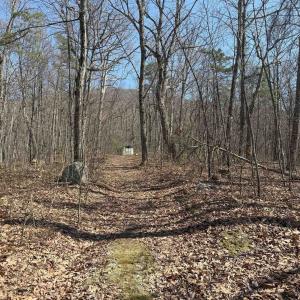 Photo #20 of TBD SHOTGUN SPRING RD, NEW MARKET, VA 5.0 acres