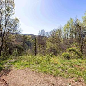 Photo #49 of Off JOLLETT RD, ELKTON, VA 18.0 acres