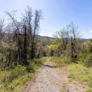 Photo #54 of Off JOLLETT RD, ELKTON, VA 18.0 acres