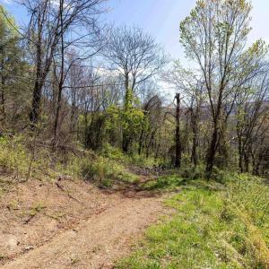 Photo #48 of Off JOLLETT RD, ELKTON, VA 18.0 acres