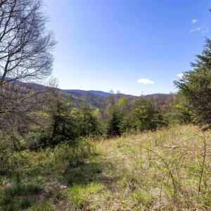 Photo #55 of Off JOLLETT RD, ELKTON, VA 18.0 acres