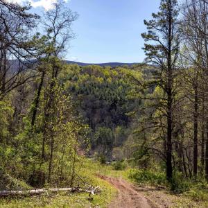 Photo #46 of Off JOLLETT RD, ELKTON, VA 18.0 acres