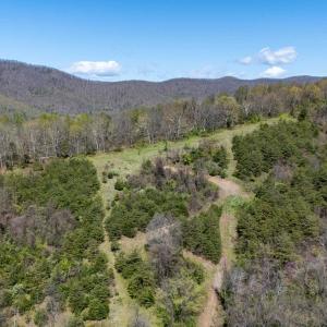 Photo #20 of Off JOLLETT RD, ELKTON, VA 18.0 acres