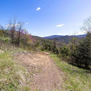 Photo #58 of Off JOLLETT RD, ELKTON, VA 18.0 acres