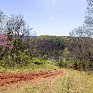 Photo #42 of Off JOLLETT RD, ELKTON, VA 18.0 acres