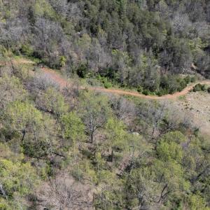 Photo #29 of Off JOLLETT RD, ELKTON, VA 18.0 acres