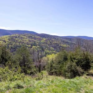 Photo #61 of Off JOLLETT RD, ELKTON, VA 18.0 acres