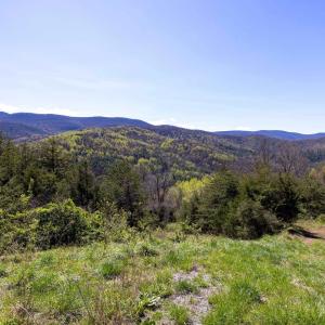 Photo #56 of Off JOLLETT RD, ELKTON, VA 18.0 acres