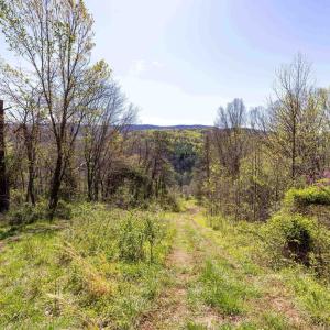 Photo #47 of Off JOLLETT RD, ELKTON, VA 18.0 acres