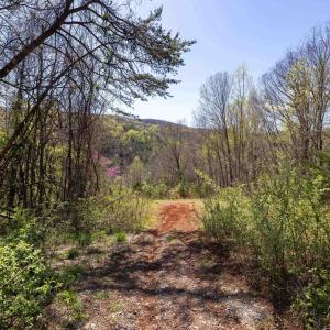 Photo #44 of Off JOLLETT RD, ELKTON, VA 18.0 acres