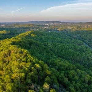 Photo #24 of 1166 MONACAN TRAIL RD, CHARLOTTESVILLE, VA 27.5 acres