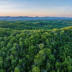 Photo #19 of 1166 MONACAN TRAIL RD, CHARLOTTESVILLE, VA 27.5 acres