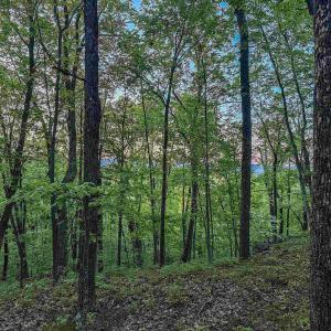Photo #15 of 1166 MONACAN TRAIL RD, CHARLOTTESVILLE, VA 27.5 acres