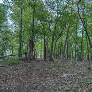 Photo #16 of 1166 MONACAN TRAIL RD, CHARLOTTESVILLE, VA 27.5 acres