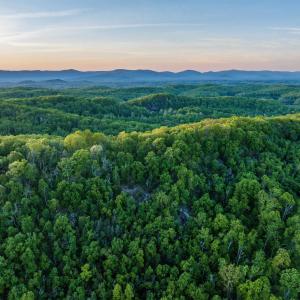 Photo #21 of 1166 MONACAN TRAIL RD, CHARLOTTESVILLE, VA 27.5 acres