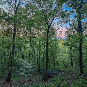 Photo #13 of 1166 MONACAN TRAIL RD, CHARLOTTESVILLE, VA 27.5 acres