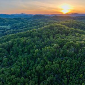 Photo #27 of 1166 MONACAN TRAIL RD, CHARLOTTESVILLE, VA 27.5 acres