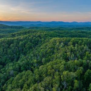 Photo #26 of 1166 MONACAN TRAIL RD, CHARLOTTESVILLE, VA 27.5 acres