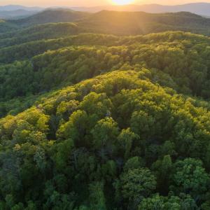 Photo #4 of 1166 MONACAN TRAIL RD, CHARLOTTESVILLE, VA 27.5 acres