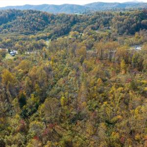 Photo #2 of ORCHARD RD, LOVINGSTON, VA 25.0 acres
