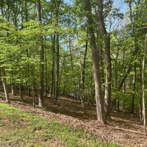 Photo #2 of 69 LAGUNA RD, PALMYRA, VA 0.3 acres