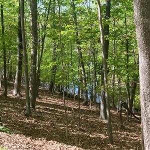 Photo #1 of 69 LAGUNA RD, PALMYRA, VA 0.3 acres