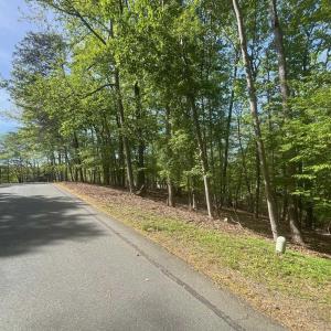 Photo #4 of 69 LAGUNA RD, PALMYRA, VA 0.3 acres