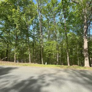 Photo #3 of 69 LAGUNA RD, PALMYRA, VA 0.3 acres