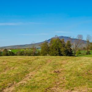 Photo #11 of Lot 5 FOX HILL DR, PORT REPUBLIC, VA 5.7 acres