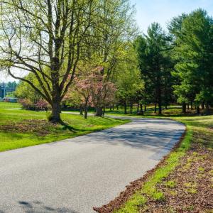 Photo #9 of Lot 5 FOX HILL DR, PORT REPUBLIC, VA 5.7 acres