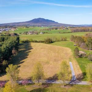 Photo #4 of Lot 5 FOX HILL DR, PORT REPUBLIC, VA 5.7 acres