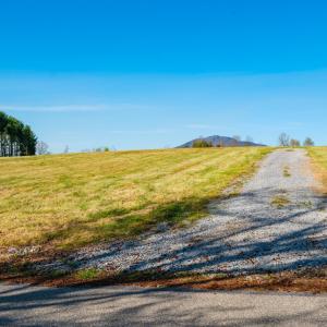 Photo #10 of Lot 5 FOX HILL DR, PORT REPUBLIC, VA 5.7 acres