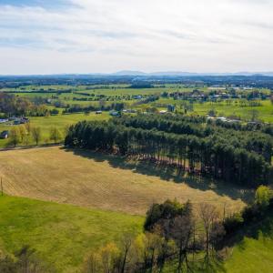 Photo #8 of Lot 5 FOX HILL DR, PORT REPUBLIC, VA 5.7 acres