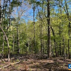 Photo #1 of ALLENS CREEK RD, GLADSTONE, VA 4.3 acres