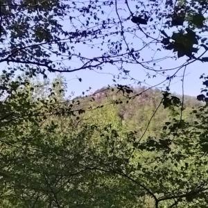 Photo #1 of TBD OLD BLUE RIDGE TPKE, SYRIA, VA 14.1 acres