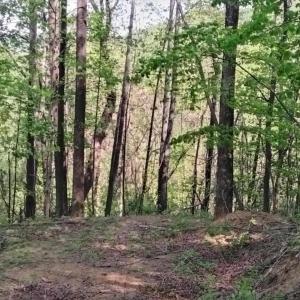 Photo #5 of TBD OLD BLUE RIDGE TPKE, SYRIA, VA 14.1 acres