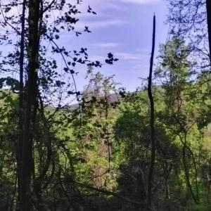 Photo #2 of TBD OLD BLUE RIDGE TPKE, SYRIA, VA 14.1 acres