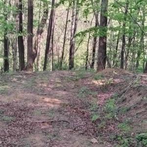 Photo #3 of TBD OLD BLUE RIDGE TPKE, SYRIA, VA 14.1 acres