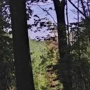 Photo #6 of TBD OLD BLUE RIDGE TPKE, SYRIA, VA 14.1 acres