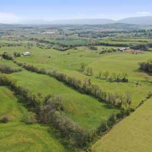 Photo #20 of 14004 AMERICAN LEGION DR, BROADWAY, VA 52.0 acres