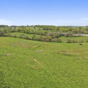 Photo #6 of 14004 AMERICAN LEGION DR, BROADWAY, VA 52.0 acres