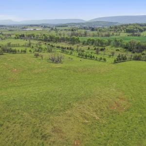 Photo #9 of 14004 AMERICAN LEGION DR, BROADWAY, VA 52.0 acres